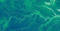 USDA Buried Dozens of Climate Studies, Politico Finds