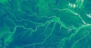 USDA Buried Dozens of Climate Studies, Politico Finds