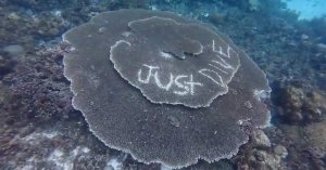 Underwater Vandals Carve 'JUST DIVE' Into Philippine Coral, Spurring Crackdown