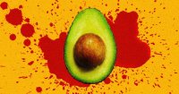 Mexico's Avocado Export Boom Drives Forest Loss and Violence