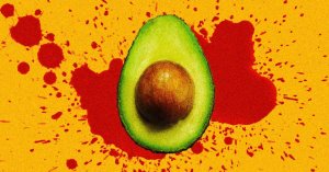 Mexico's Avocado Export Boom Drives Forest Loss and Violence