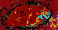 Ancient Meteorite Fragment Hints at a Dwarf Planet That Vanished