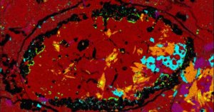 Ancient Meteorite Fragment Hints at a Dwarf Planet That Vanished